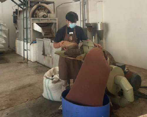 Proses Penggilingan Massa