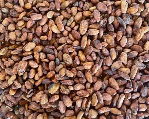 Raw Material for Cocoa Beans